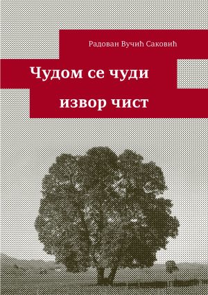 Чудом се чуди извор чист