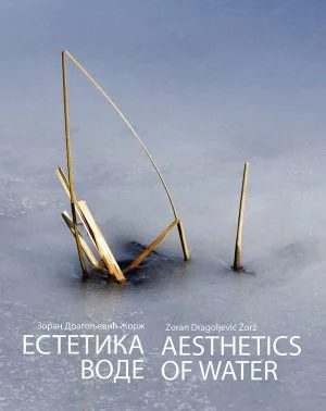 Естетика воде