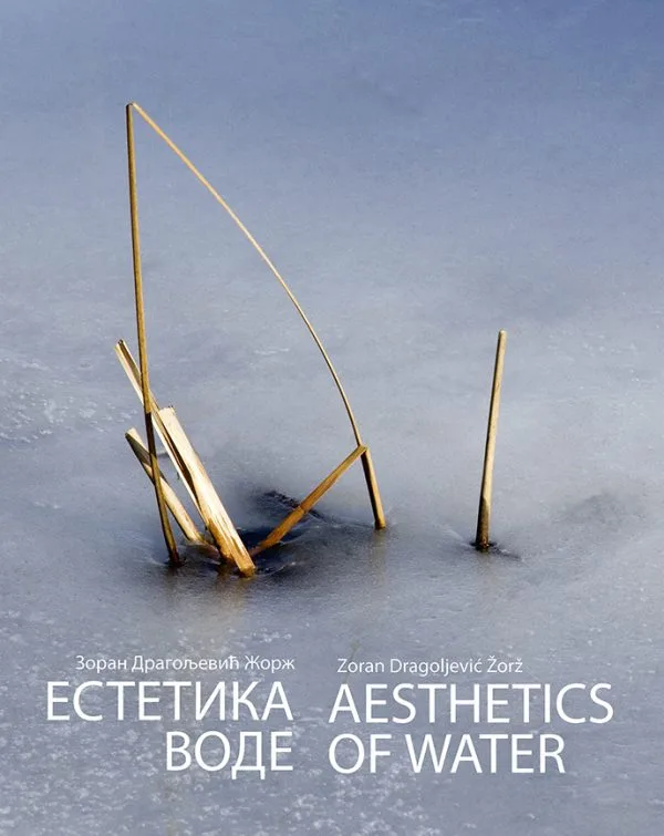 Естетика воде
